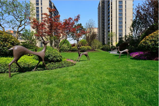 本溪公園里居住區(qū)景觀設計168.png